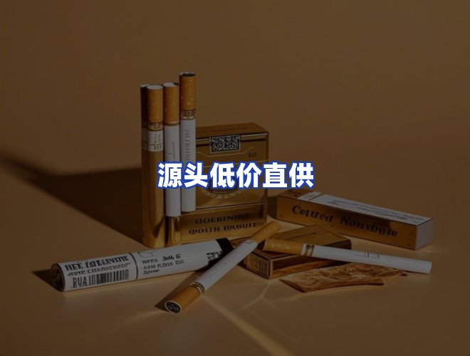 专业团队